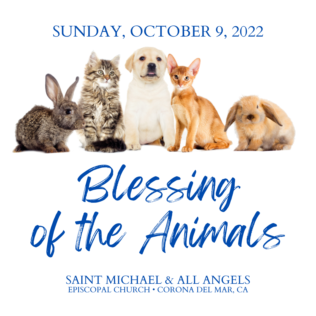 Blessing of the Animals Sunday, October 9, 900 AM St. Michael and